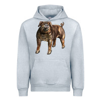 Heather Grey Duroc Pig Urban Hoodie - LillyAllenDesigns