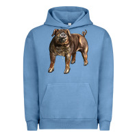 Pigment Pebble Blue Duroc Pig Urban Hoodie - LillyAllenDesigns