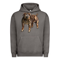 Pigment Tornado Duroc Pig Urban Hoodie - LillyAllenDesigns