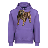 Tulip Duroc Pig Urban Hoodie - LillyAllenDesigns