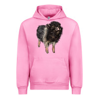 Fuchsia Pink Baby Hampshire Pig Urban Hoodie - LillyAllenDesigns