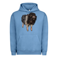 Pigment Pebble Blue Baby Hampshire Pig Urban Hoodie - LillyAllenDesigns