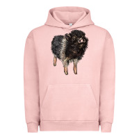 Pigment Salmon Baby Hampshire Pig Urban Hoodie - LillyAllenDesigns