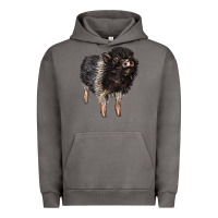 Pigment Tornado Baby Hampshire Pig Urban Hoodie - LillyAllenDesigns