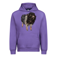 Tulip Baby Hampshire Pig Urban Hoodie - LillyAllenDesigns