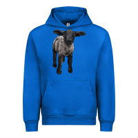 Cobalt suffolk baby sheep Urban Hoodie - LillyAllenDesigns