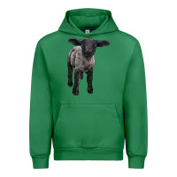 Emerald suffolk baby sheep Urban Hoodie - LillyAllenDesigns