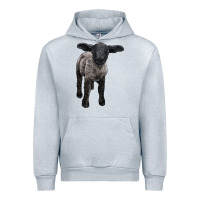 Heather Grey suffolk baby sheep Urban Hoodie - LillyAllenDesigns