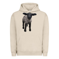 Pigment French Oak suffolk baby sheep Urban Hoodie - LillyAllenDesigns