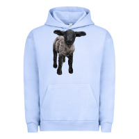Pigment Grape Ice suffolk baby sheep Urban Hoodie - LillyAllenDesigns