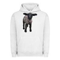 Pigment Lunar Rock suffolk baby sheep Urban Hoodie - LillyAllenDesigns