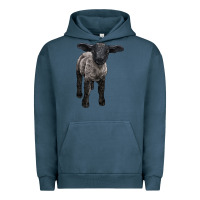 Pigment Midnight Navy suffolk baby sheep Urban Hoodie - LillyAllenDesigns
