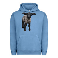 Pigment Pebble Blue suffolk baby sheep Urban Hoodie - LillyAllenDesigns