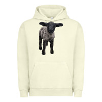 Pigment Pistachio suffolk baby sheep Urban Hoodie - LillyAllenDesigns