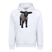 White suffolk baby sheep Urban Hoodie - LillyAllenDesigns