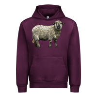 Mauve Wine hampshire sheep Urban Hoodie - LillyAllenDesigns