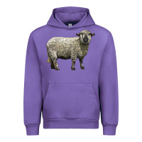 Tulip hampshire sheep Urban Hoodie - LillyAllenDesigns