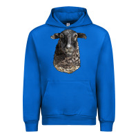 Cobalt dorper sheep head Urban Hoodie - LillyAllenDesigns