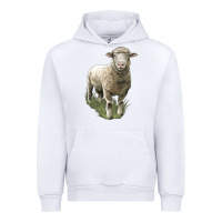 White dorset sheep Urban Hoodie - LillyAllenDesigns