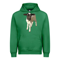 Emerald dorper baby sheep Urban Hoodie - LillyAllenDesigns