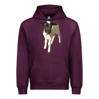 Mauve Wine dorper baby sheep Urban Hoodie - LillyAllenDesigns