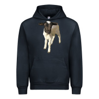Navy dorper baby sheep Urban Hoodie - LillyAllenDesigns