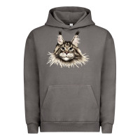 Pigment Tornado Maine Coon Cat Face Urban Hoodie - LillyAllenDesigns