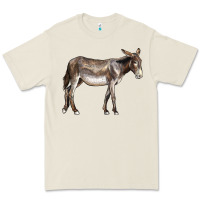 Bone american mammoth jackstock donkey Premium Tee - LillyAllenDesigns