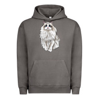 Pigment Tornado Ragdoll Cat Urban Hoodie - LillyAllenDesigns