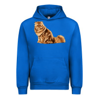 Cobalt Persian Cat Urban Hoodie - LillyAllenDesigns