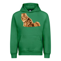Emerald Persian Cat Urban Hoodie - LillyAllenDesigns