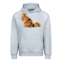 Heather Grey Persian Cat Urban Hoodie - LillyAllenDesigns