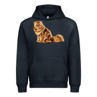 Navy Persian Cat Urban Hoodie - LillyAllenDesigns