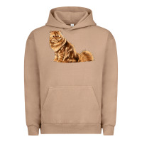 Pigment Burro Persian Cat Urban Hoodie - LillyAllenDesigns
