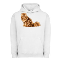 Pigment Lunar Rock Persian Cat Urban Hoodie - LillyAllenDesigns