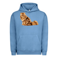 Pigment Pebble Blue Persian Cat Urban Hoodie - LillyAllenDesigns