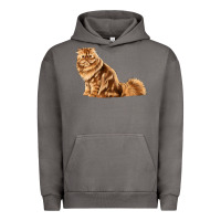 Pigment Tornado Persian Cat Urban Hoodie - LillyAllenDesigns