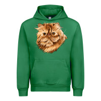 Emerald Persian Cat Face Urban Hoodie - LillyAllenDesigns
