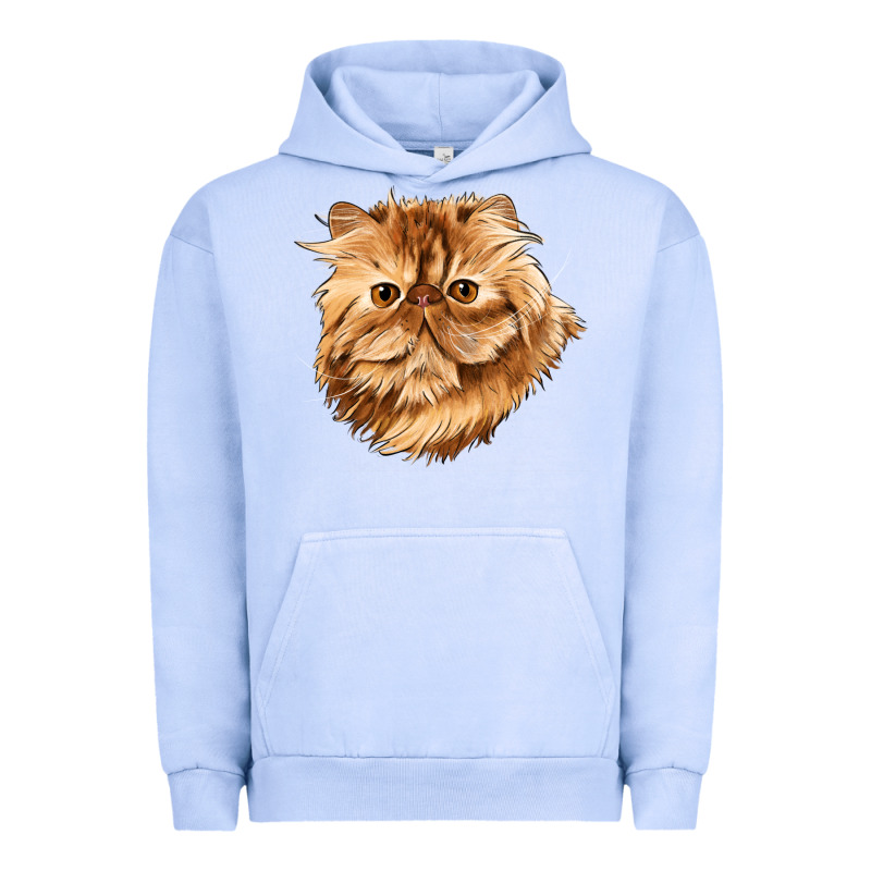 Persian Cat Face Urban Hoodie by LillyAllenDesigns | Teevron