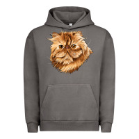Pigment Tornado Persian Cat Face Urban Hoodie - LillyAllenDesigns
