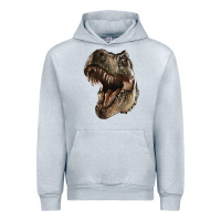Heather Grey Tyrannosaurus T Rex Face Urban Hoodie - LillyAllenDesigns
