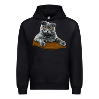 Black Scottish Fold Urban Hoodie - LillyAllenDesigns