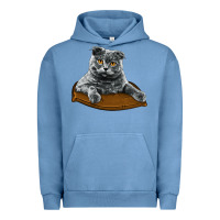 Pigment Pebble Blue Scottish Fold Urban Hoodie - LillyAllenDesigns