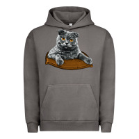 Pigment Tornado Scottish Fold Urban Hoodie - LillyAllenDesigns