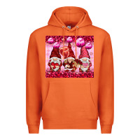 Carrot valentines gnomies with leopard Premium Hoodie - NancyCooperArtShop