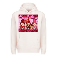 Pale Pink valentines gnomies with leopard Premium Hoodie - NancyCooperArtShop