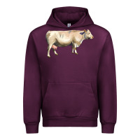 Charolais Cattle Urban Hoodie | Teevron