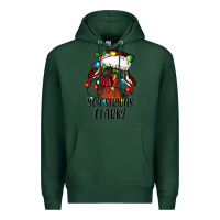 Sports Green you serious clark Christmas vacation rooster Premium Hoodie - Jasminsmagicworld