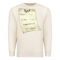 Sandshell test sheet fa element Premium Sweatshirt - FaDigitalArtStudio