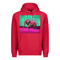 Cardinal colorful elephant Premium Hoodie - LillyAllenDesigns